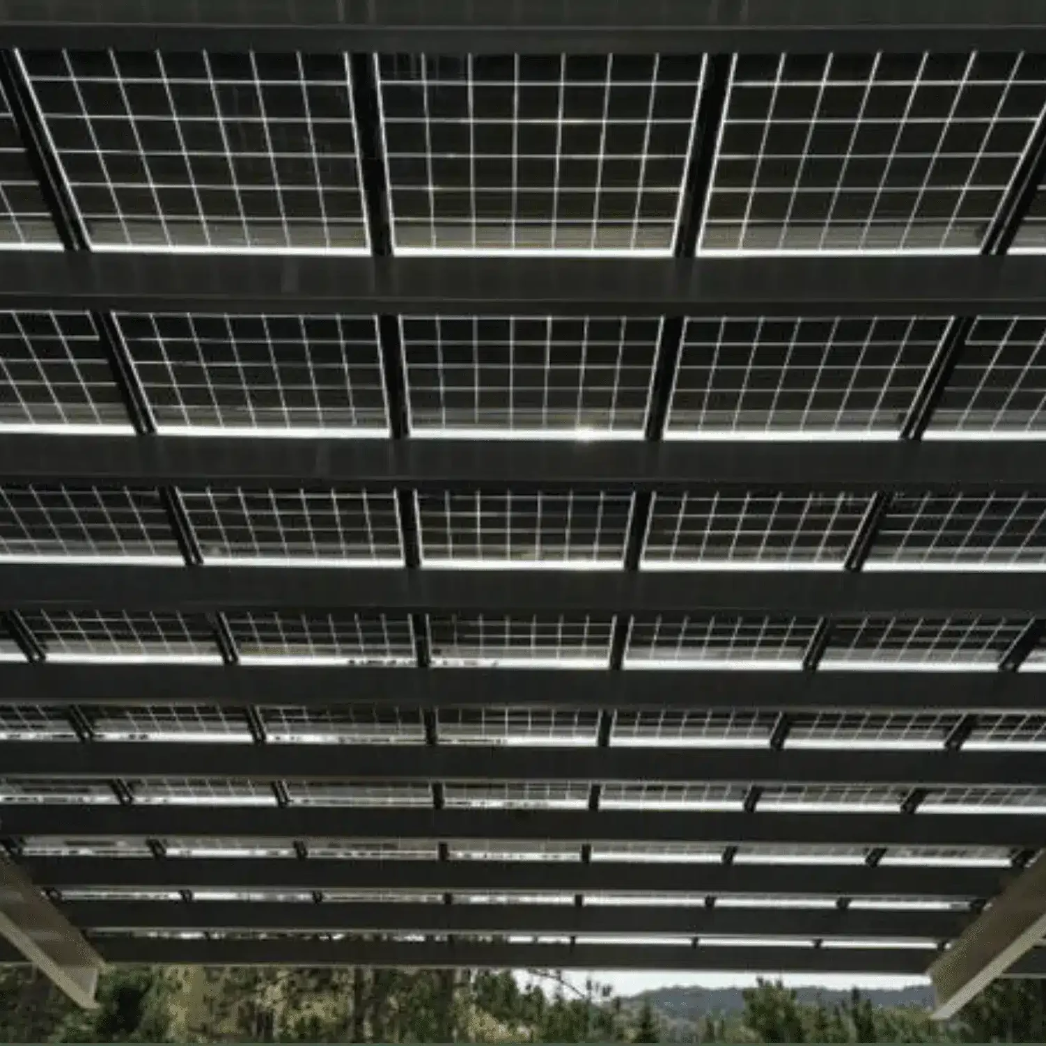 Renewable Energy Programme